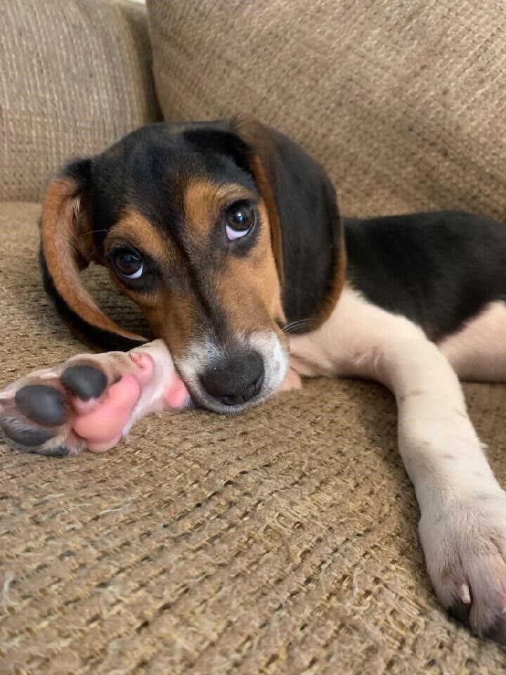 Penny 2.jpeg